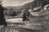 Frauenwald - Blick zur Fraubachmühle - 1969