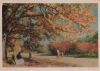 Russland - Moskau - Sokolniki zur Herbstzeit - ca. 1975