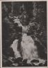 Triberg - Wasserfall - ca. 1960