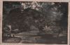 Österreich - St. Pölten - Motiv aus dem Stadtpark - ca. 1955