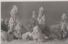 Königstein - Rückseite unbedruckt - ca. 1955
