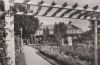 Bad Kissingen - Rosengarten - 1958