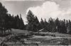 Österreich - Steinach am Brenner - Liftrestaurant Bergeralm - 1964