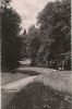 Badenweiler - Im Kurpark - 1963