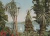 Mainau im Bodensee - 1960