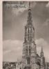 Ulm a.d. Donau - Münster - 1951