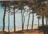 Frankreich - La Tranche sur Mer - Plage - 1977
