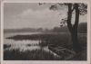 Boot im Schilf - ca. 1950