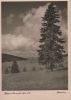Feldberg / Schwarzwald - ca. 1950