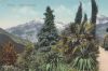 Italien - Meran - Gilfpromenade - ca. 1925