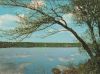 Schweden - Tingsryd - Strandmotiv - 1980