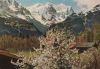 Schweiz - Wetterhorn - ca. 1970