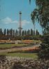 Berlin-Westend, Funkturm - mit Sommergarten - ca. 1975