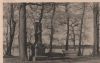 Liebesinsel Mirower See - ca. 1955