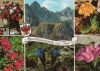 Österreich - Tirol - Alpenblumengrüße - ca. 1980