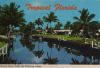 USA - Florida - Coconut Palms border the waterway - 1981