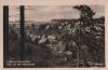 Tanne - Blick von der Badeanstalt - 1960