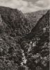 Thale - Blick vom Bodetor ins Bodetal - 1972