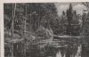 Vorschaubild: Walsrode - Lohofer Fischteiche im Kleckerwald - 1961 Walsrode - Lohofer Fischteiche im Kleckerwald - 1961