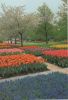 Niederlande - Lisse - Keukenhof - ca. 1985
