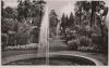 Bad Pyrmont - Palmengarten - ca. 1960