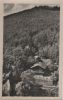 Schwarzburg - Gasthaus Schweizerhaus - 1957