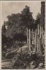 Italien - Ventimiglia, Mortola - I giardini - 1942