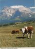 Italien - Langkofel - Selser Alm - ca. 1980