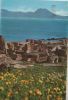 Tunesien - Karthago - Thermes Antonin - 2003