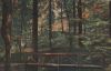 Braunlage - Wolfsbach-Schlucht bei dicken Tannen - ca. 1935