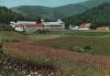 Spanien - Roncesvalles - 1972