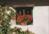 Österreich - Tirol - Blumenfenster - 1994