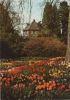 Mainau - Alter Wehrturm im Frühling - 1979