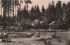 Finsterbergen - Naturpark Hüllrodt - 1963