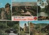 Teutoburger Wald - u.a. Donoper Teich - 1967