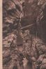 Breitachklamm bei Oberstdorf - ca. 1935