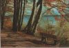 Waldweg am See - ca. 1980