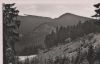 Oberhof - Weg zum Veilchenbrunn - 1941