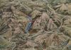 Berchtesgadener Land - Übersichtskarte - 1959
