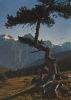 Schweiz - Val Mingèr - Nationalpark - 1962