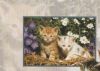 Katzen im Blumengarten - 2004