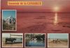 Frankreich - Camargue - 1989