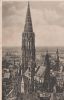 Freiburg - Münster - 1950