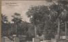 Bad Pyrmont - Palmengarten - ca. 1945