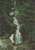Vorschaubild: Triberg - Wasserfälle - 1974 Triberg - Wasserfälle - 1974