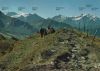 Schweiz - Rinderberg - Gandlauengrat - 1979