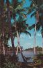 USA - Fort Myers - Whiskey Creek - 1990