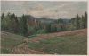 Landschaft mit Wiese