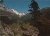 Schweiz - Leukerbad - mit Rinderhorn - 1972