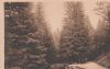 Braunlage Harz - An der Bode - ca. 1935